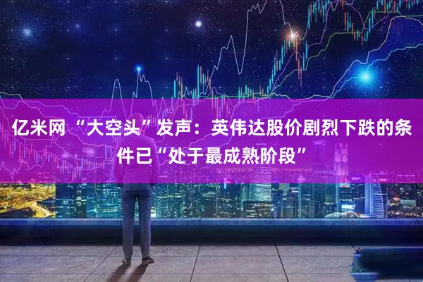 亿米网 “大空头”发声：英伟达股价剧烈下跌的条件已“处于最成熟阶段”