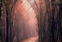 好的配资平台:按月配资开户-AI硬件争霸MWC2026：手机厂商求变 眼镜与机器人吸睛